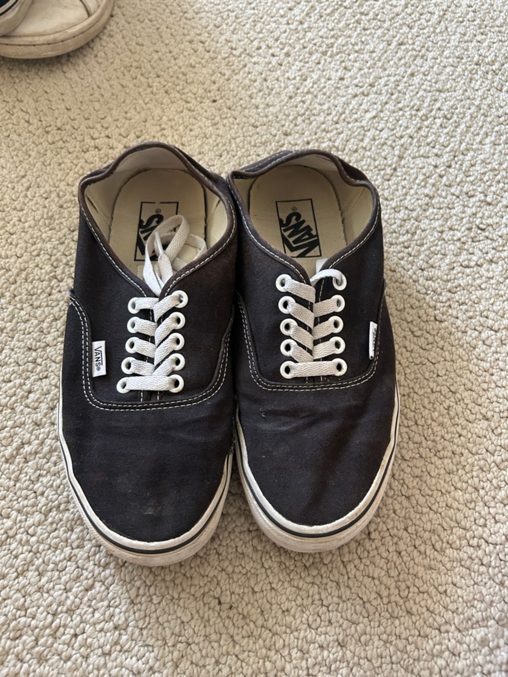 Vans Black Canvas Low-Top Sneakers with White Laces